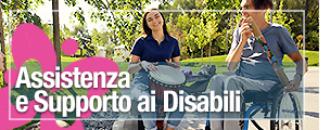 Area Disabili